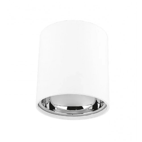 Cata Foça Beyaz Platin Sıva Üstü Silindir Dekoratif Spot Armatür ct-5421